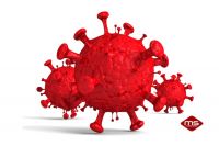 virus-celulas
